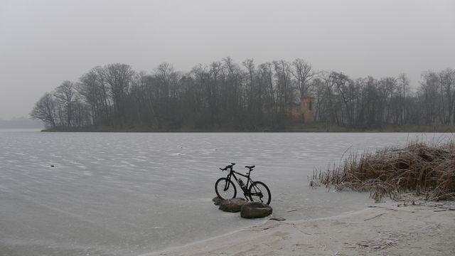 41740.jpg