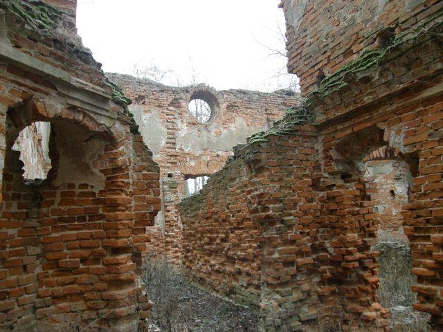 41742.jpg