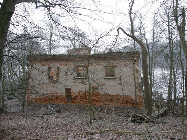 41743.jpg