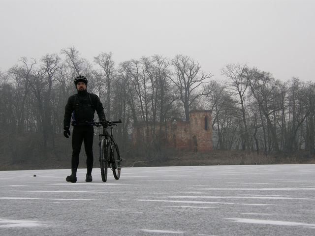 41745.jpg