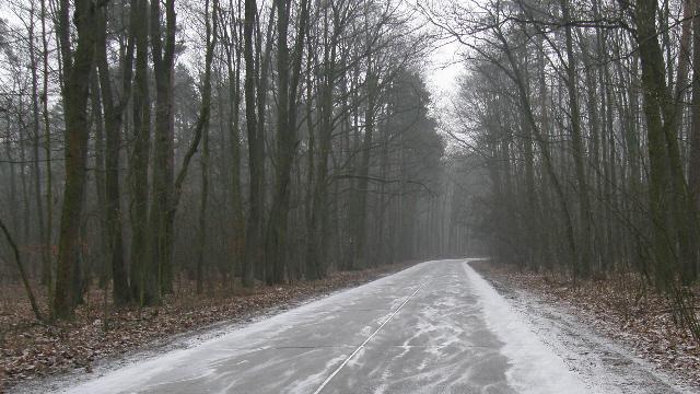 41746.jpg