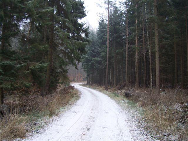 41758.jpg