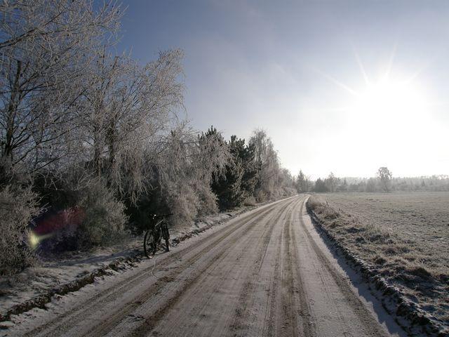 41872.jpg