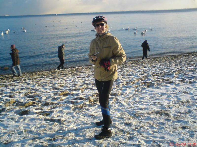 41900.jpg