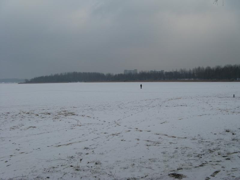 42009.jpg