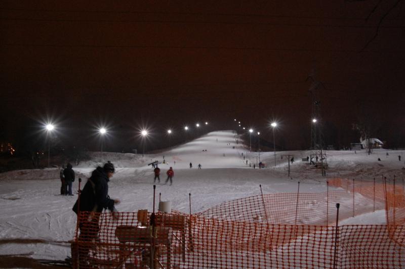 Sosnowiec - Park środula
