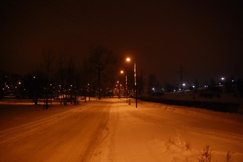 Sosnowiec - Park środula