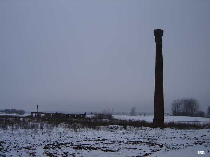 42367.jpg