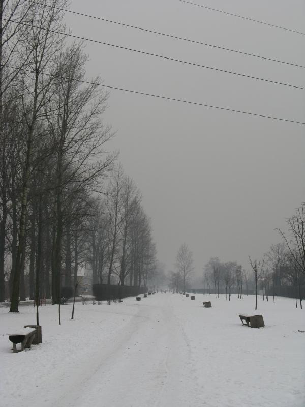42504.jpg