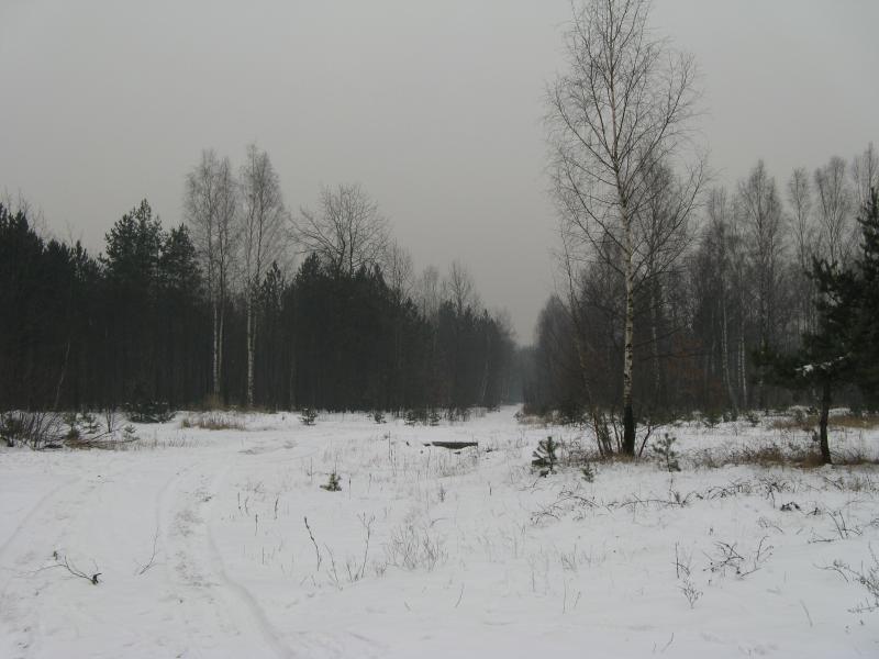 42505.jpg