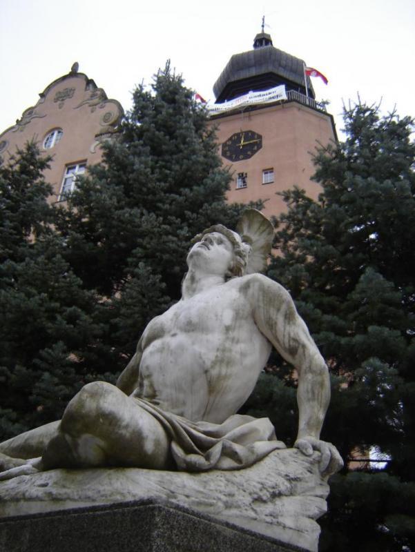 42559.jpg