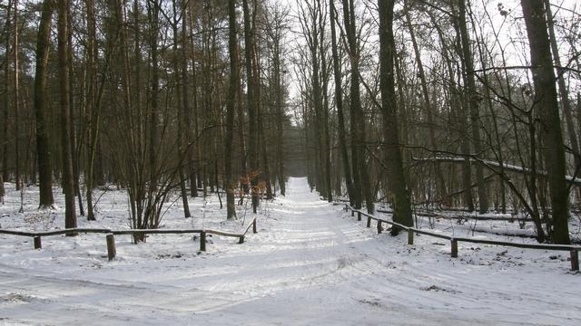 42570.jpg