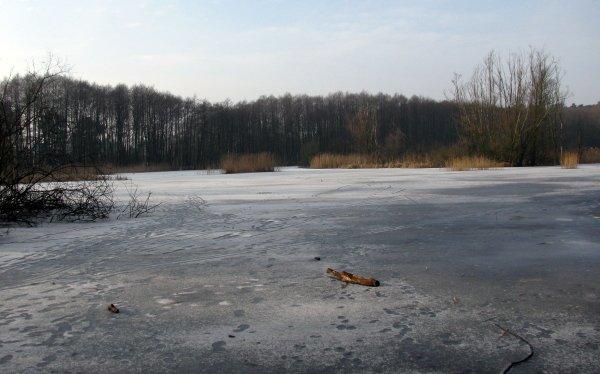 jezioro, szczecin, zima, lód