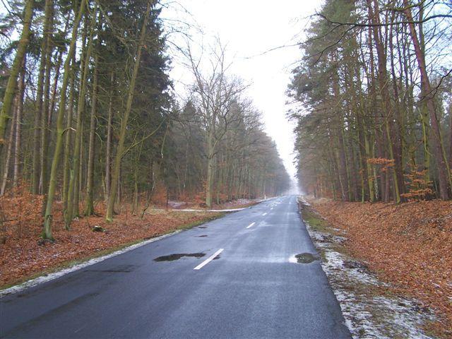 42635.jpg