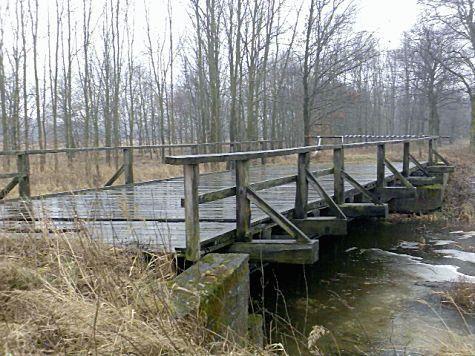 42843.jpg