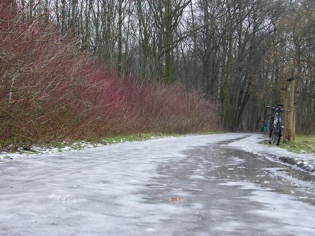 42845.jpg