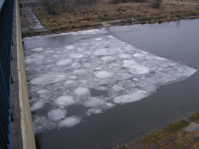 42850.jpg