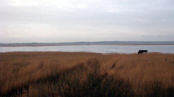 jezioro, świdwie, rezerwat