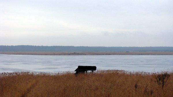 jezioro, świdwie, rezerwat