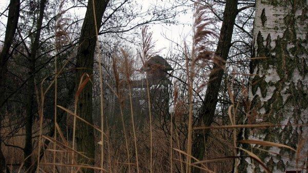 jezioro, świdwie, rezerwat
