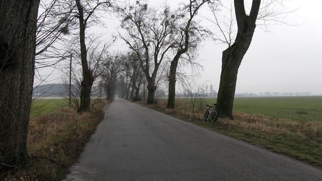 42903.jpg
