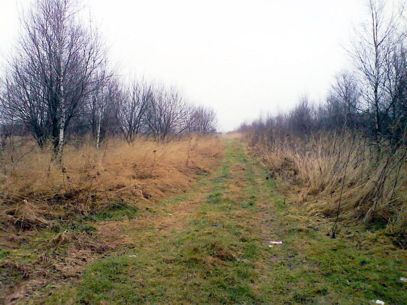 43002.jpg