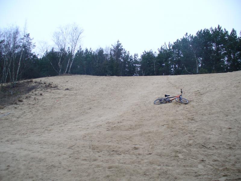 43011.jpg