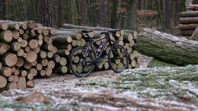 Ścięte pale i bike