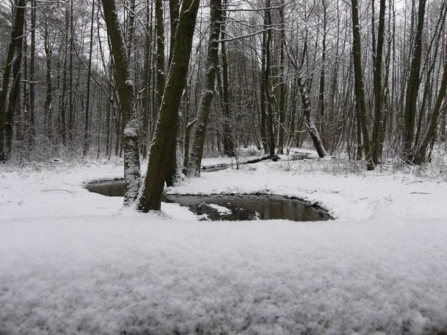 Zimowa rzeczka