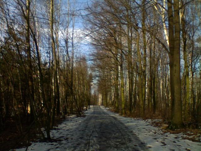 prawie jak wiosna