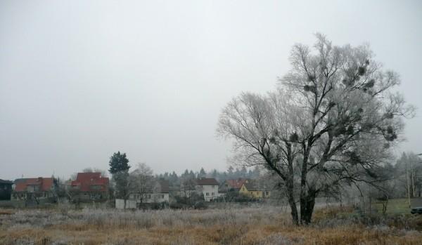 Szadź