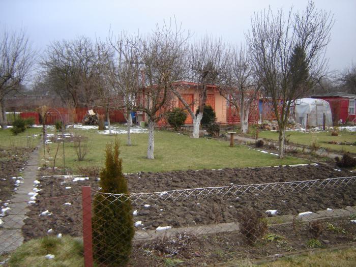 Działka Dareckiego