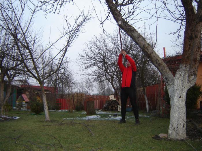 Działka Dareckiego