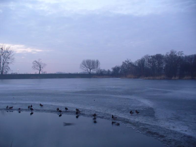 Park Mazowsze