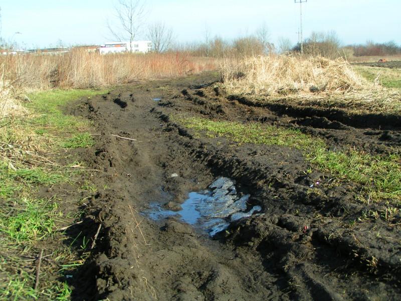 Błotna trasa