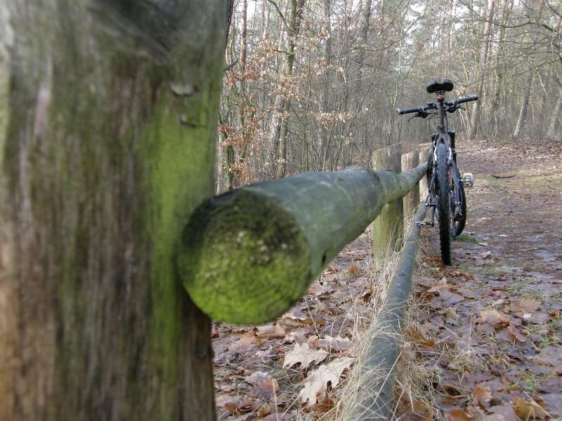 Płotek