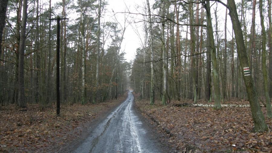 Błotnista szosa