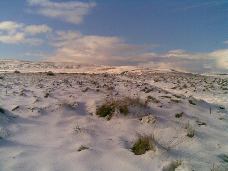 baildon