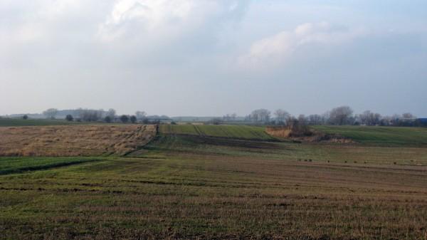 Pole pomiędzy Warzymicami i Karwowem