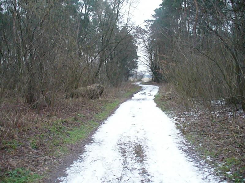Lodowiec w KPN