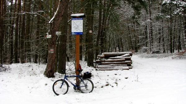 Pod leśniczówką Owczary