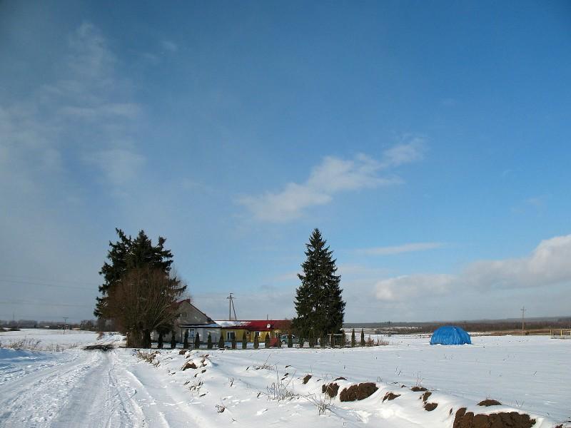 Zima