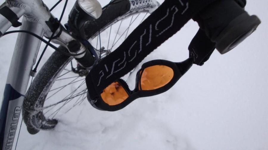 Arctica S88 na gumce