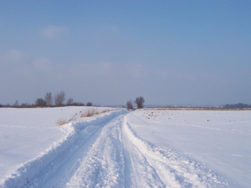 Przez łaki, przez pola