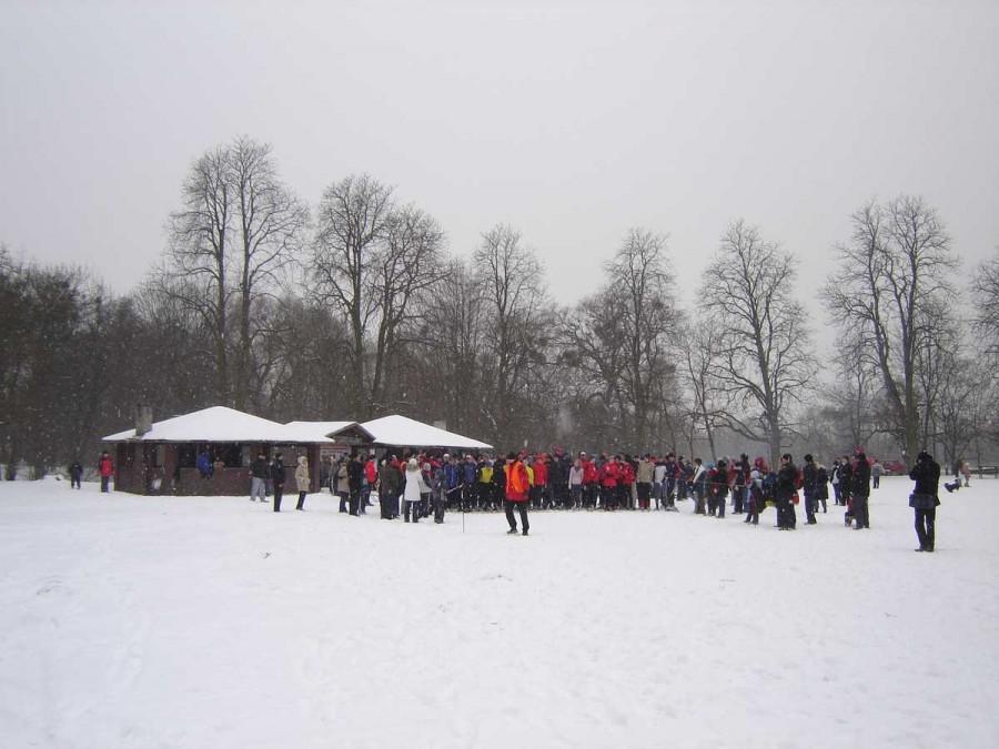 Biegi Elbląskie