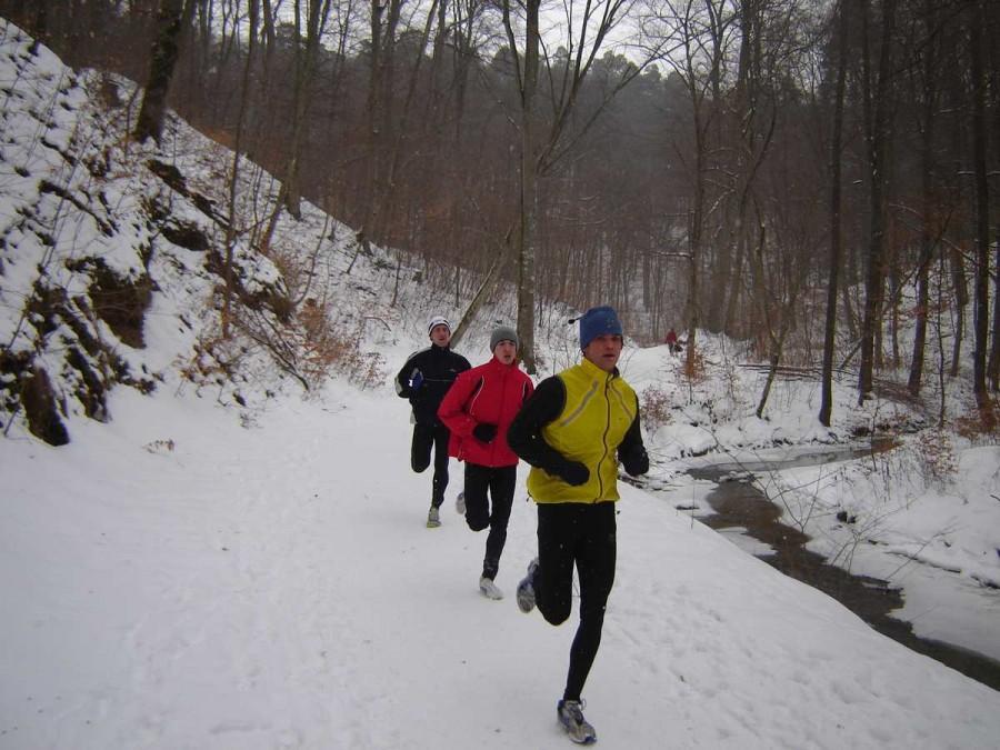 Biegi Elbląskie