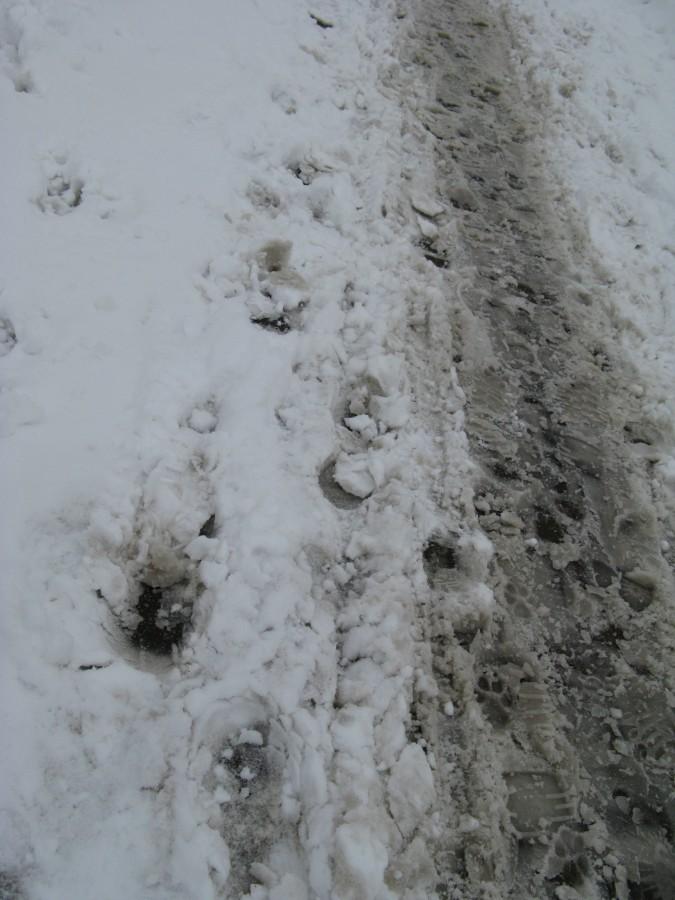 Śnieg na chodnikach