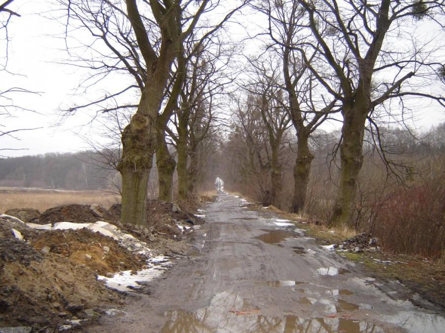 Elbląg Rubno - droga na Próchnik