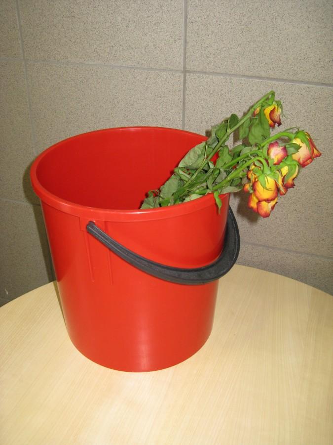Dzień Kobiet