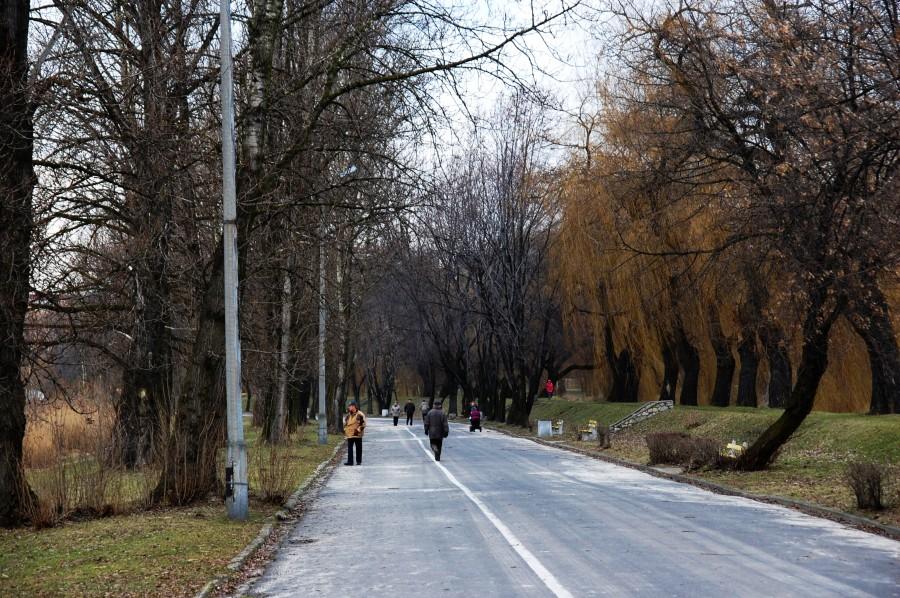 Stawiki w Sosnowcu